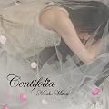 Centifolia-Noriko Mitose Art Works Best-