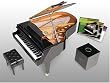 �O�����h�s�A�j�X�gwith YAMAHA (+��p�J�[�g���b�W3���t���Z�b�g)