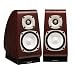 ONKYO �M�^�[�A�R�[�X�e�B�b�N�E�X�s�[�J�[�V�X�e�� �i2��1�g�j D-TK10