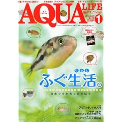 ���� AQUA LIFE (�A�N�A���C�t) 2012�N 01���� [�G��]