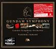 GUNDAM 30th ANNIVERSARY GUNDAM SYMPHONY(��������)(DVD�t)
