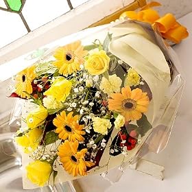 �o���ԑ��@���߂܂ł̂������͗����z�B�y�z�B���w��s�z �@�����z�B�@���ԉ�����