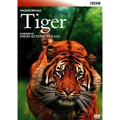 BBC���C���h���C�t�E�X�؃V���� �g�� ��̔e�� [DVD]