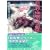 �����E�E���������̐��n (3) (�V���كE�B���O�X���Ɂ\Wings novel)