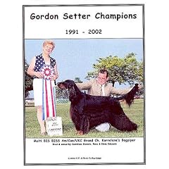 Gordon Setter Champions, 1991-2002