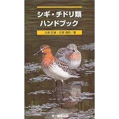 【クリックで詳細表示】シギチドリ類ハンドブック： 氏原 巨雄， 氏原 道昭： 本