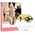 �x�W���[���A�o���G�A�����~�G�[�� [DVD]