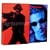 ���^�[�i�[ �\ �f���b�N�X�E�G�f�B�V���� [DVD]