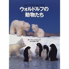 �E�H���h���t�̓��������\������Ă₳�����ʂ������