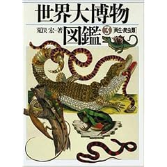 �����E঒��� (���E�唎���}��(3))