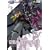 �@����m�K���_��SEED DESTINY 9 [DVD]
