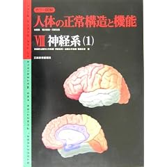 �J���[�}�� �l�̂̐���\���Ƌ@�\�q8�r�_�o�n1�\�����_�o�n�̍\���E�����_�o�@�\�E�^���n