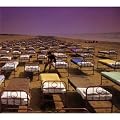 Momentary Lapse of Reason