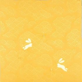 ��456 ��А�������߂��d�q�i��(�C�g) ���� 68�~70cm