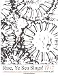 Rise Ye, Sea Slugs: A Theme from in Praise of Olde Haiku, With Many More Poems and Fine Elaboration