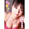 �쉮���������@�����L���� [DVD]