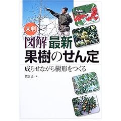 �唻�}���ŐV�ʎ��̂����\���点�Ȃ�����`������