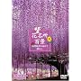 �Ԗ����S�i/���J��i��K�˂�[�f����Y�E�W���p���g���r���[�g] [DVD]