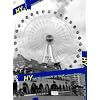 WATTA SHINKER 06 TOUR-MU-RUIINCHU- [DVD]