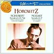 Horowitz;Variations on a Th