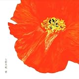 [CD]矢野真紀 窓(DVD付)