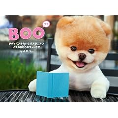BOO�@�C�k�̃u�D�̃t�H�g���L