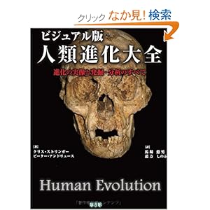 【クリックでお店のこの商品のページへ】ビジュアル版人類進化大全: クリス・ストリンガー, ピーター・アンドリュース, 馬場悠男, 道方しのぶ: 本