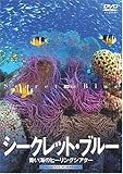 �V�[�N���b�g�E�u���[ ���C�̃q�[�����O�V�A�^�[ [DVD]