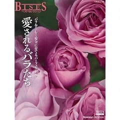�������o�������\�o������������S�Ɉ�Ă�p�[�t�F�N�g�{ (�x�l�b�Z�E���b�N BISES�x�X�g�Z���N�V����)