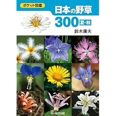 ���{�̖쑐300 �āE�H (�|�P�b�g�}��)