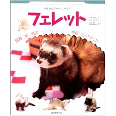 �t�F���b�g�\�������r�M�i�[�Y�K�C�h (SMALL ANIMAL POCKET BOOK SERIES)