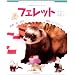 �t�F���b�g�\�������r�M�i�[�Y�K�C�h (SMALL ANIMAL POCKET BOOK SERIES)