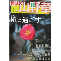 ��̎R�쑐 2006�N 01����