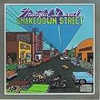 Shakedown Street