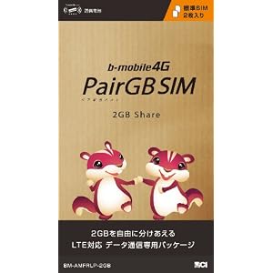 �����̿� b��Х���4G ��®���2GB�ڥ�-�������Х���SIM�ѥå����� <ɸ��SIM 2������> BM-AMFRLP-2GB