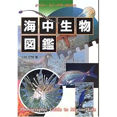 �C�������}�Ӂ\�_�C�o�[�E�X�m�[�P���[�̂��߂�