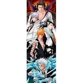 BLEACH 352�s�[�X Those who transcend it 352-23