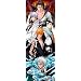 BLEACH 352�s�[�X Those who transcend it 352-23