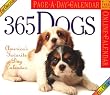 365 Dogs 2004 Calendar (Color Page-A-Day(r) Calendars)