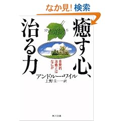 �����S�A����́\�����I�����Ƃ͂Ȃɂ� (�p�앶�Ƀ\�t�B�A)