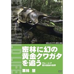 ���тɌ��̉����N���K�^��ǂ� �}���[�V�A���卩���̐��E/�I�ьd [DVD]
