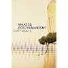 What Is Posthumanism? (Posthumanities)