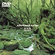 virtual trip ���v�� [DVD]