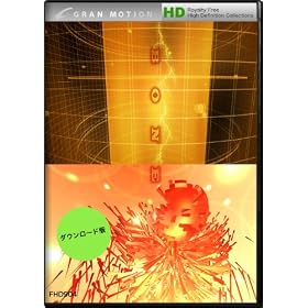 �O�������[�V���� FHD904 BONE / �{�[�� [�_�E�����[�h]