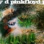 A Saucerful of Secrets