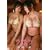 �舤 �t���E [DVD]