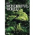 �n�[���j�J&�M�^�[ �䂸/WONDERFUL WORLD
