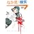 ���[=�K���[ �������ׂ��T (1)(�����E�R�~�b�N�X)