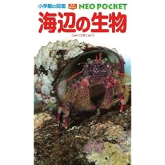 ���w�ق̐}�� NEO POCKET -�l�I�ۂ�����- �C�ӂ̐��� (���w�ق̐}��NEO POCKET)