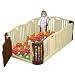 �T�[�N���uBEAR�@ZONE�v �x�A�]�[���y�x�[�W���u���E���z �x�r�[�T�[�N�� �v���C�T�[�N��